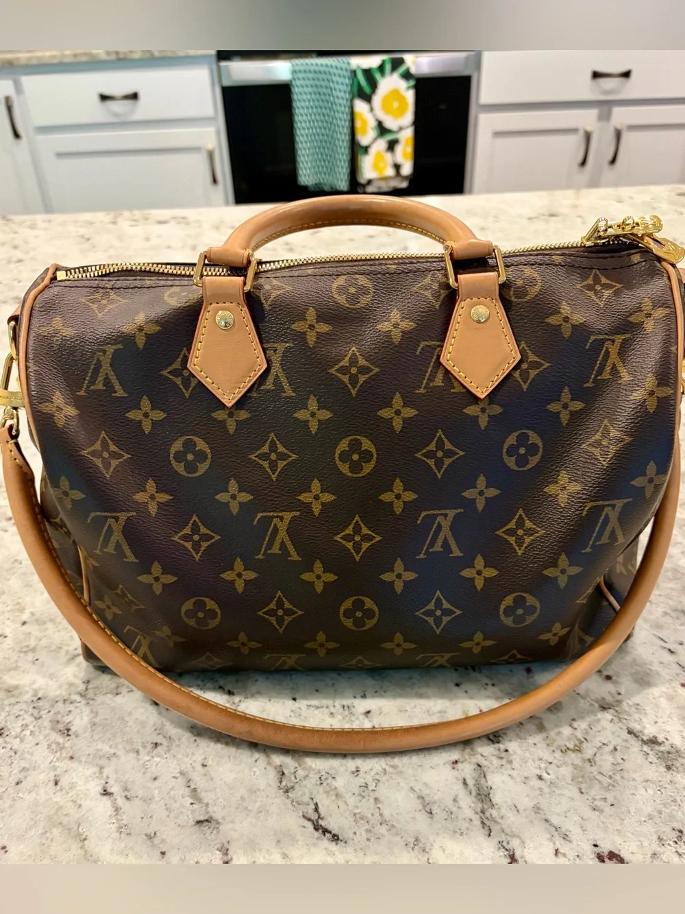 Louis Vuitton iconic louis